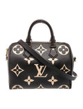 Louis Vuitton Luxury handbag