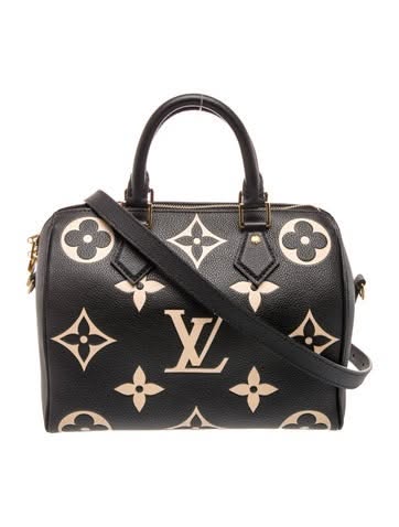 Louis Vuitton Luxury handbag